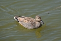 04 05 16_5428_edited-1